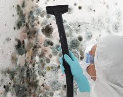 Why You Should Choose Our Mold Remediation Services in Placeholder8